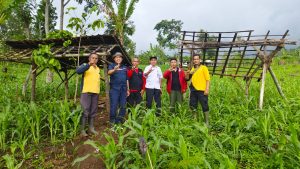 Administratur Tinjau Lokasi Tanaman di Bondowoso