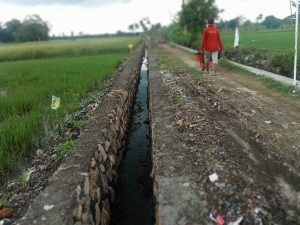 Program P3-TGAI: Meningkatkan Kinerja Jaringan Irigasi di Desa Bugeman, Situbondo